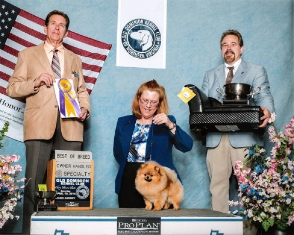BISS GCh. Silhouette's Song of Ice and Fire (group placer)
