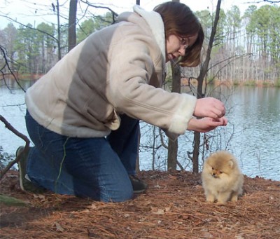 Gibson and me, for scale! He is 1lb 10 oz at 12 weeks old.
