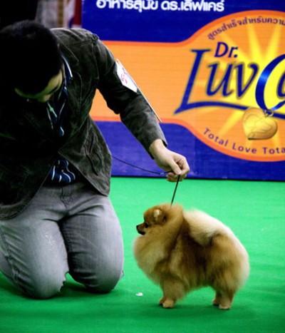 Max at his first show in Thailand shown by Mo Chaiyapol