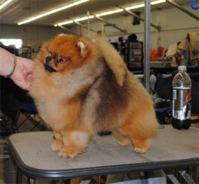 Odin the day he won a 3 pt major