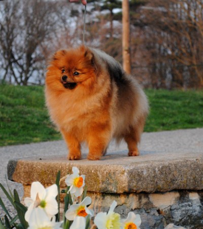 Priya at almost 2 yrs old