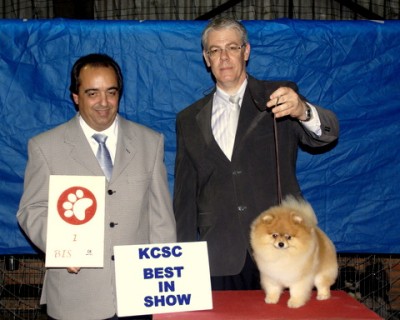 Spencer winning BIS in Brazil his first weekend out