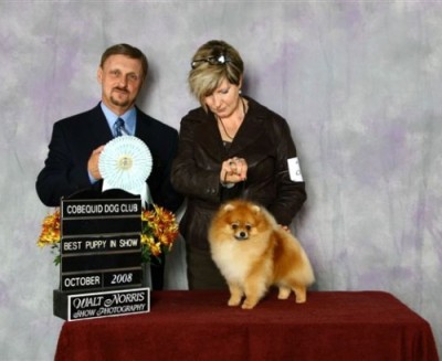 Spencer winning Best Puppy In Show at 10mos old