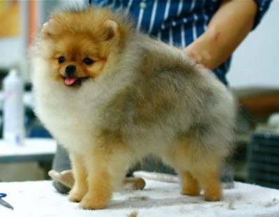 Xander at 6 mos old in Thailand