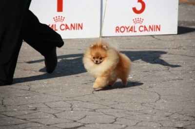 Westley at 21 mos old