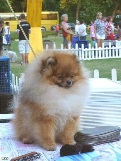 Westley at 19 mos old