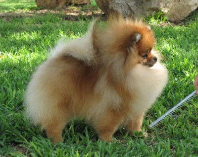 Westley at 16 mos old