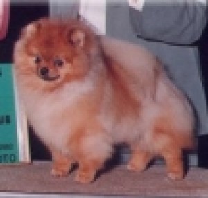 Music Maker of Lenette