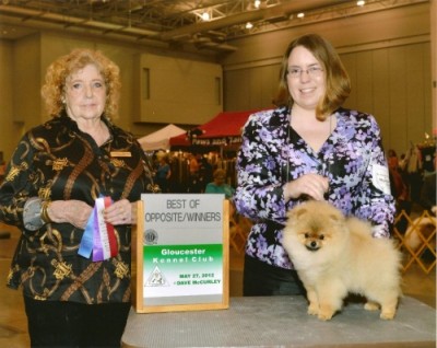 Polly winning her first 2 pts at 6mos old!