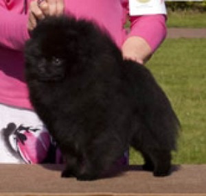 Chriscendo Come To Th' Dark Side