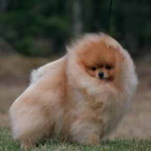 Chriscendo Calvin Klein