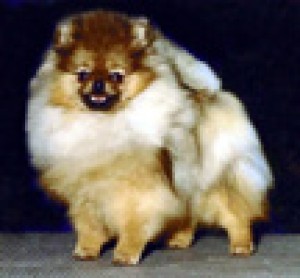 Millamor's Makin Music