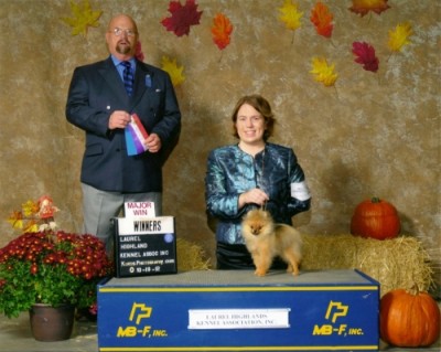 Echo winning a 3 pt major at 6mos 1 week old.