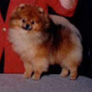 Daystar Celebrity to Janlors