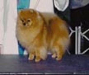 Chriscendo Classique