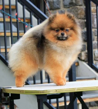 Cole at 3 yrs 8 mos old