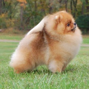 Mythical Traveling In Style