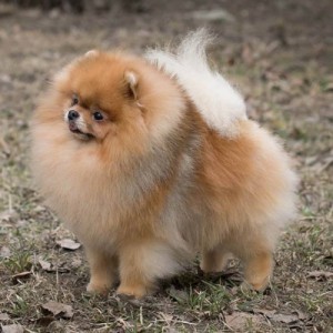 Sunterra Strike The Pose