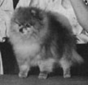 Great Elms Master Mark