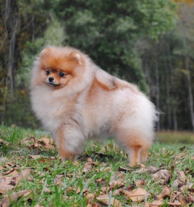 Daenerys at 10mos old