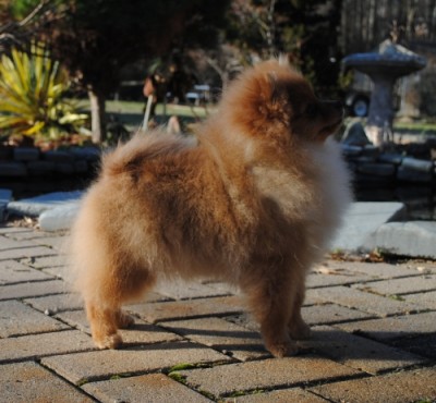 Tristan at 5mos old, in the monkies!