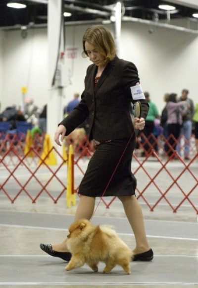 Kert in the ring January 2014