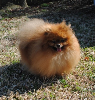 Priya at almost 4 yrs old