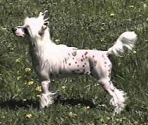 WhisperLn' Hot Damn, Here I Am