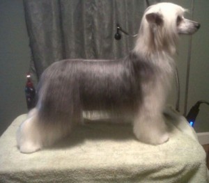 Wudnshu Delende W' A Wink N' A Smile for