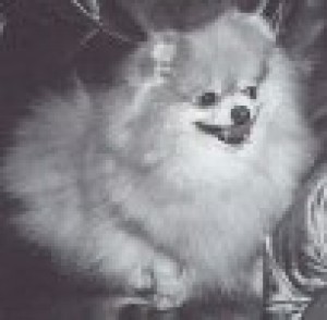 Mack's Rambling Gypsy