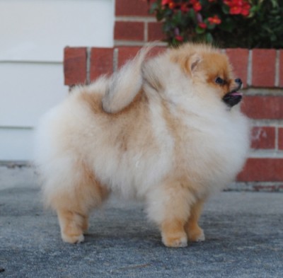 Lily at 6mos old