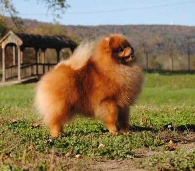 Tristan at 15mos old