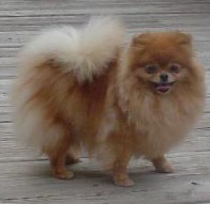 Sunrunner BB At Aphrodites