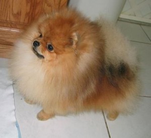 Great Rivers Cupid's Arrow