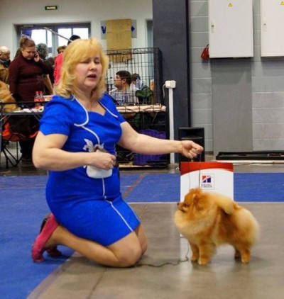 Jaqen at 2 yrs 4mos old