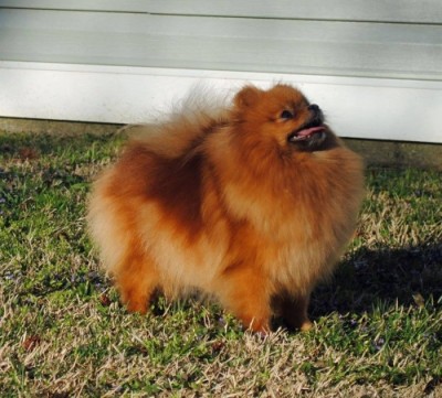 Daria at 4 1/2 yrs old