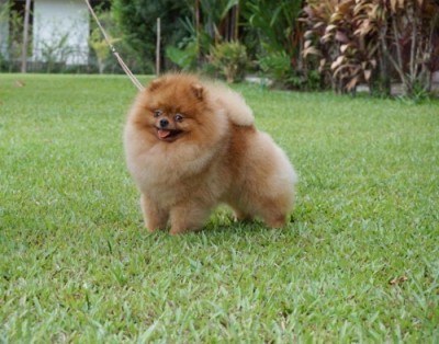 Colby during his visit to Thailand in 2015