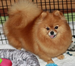 Kathy Ann of Lenette