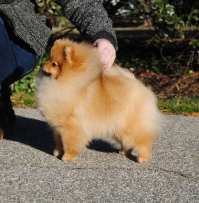 Myrcella at 6mos old