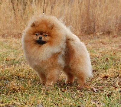 Jon-Jon at 3 yrs old