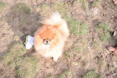 Kert at 5 1/2 yrs old