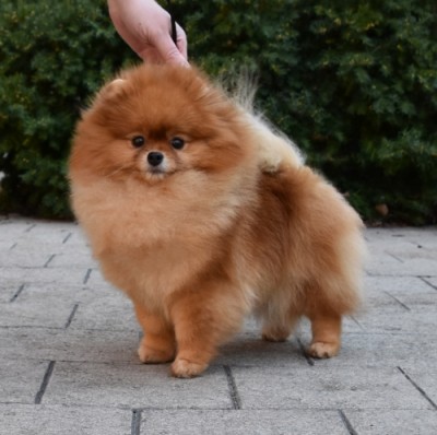 Marsha at 3 years old