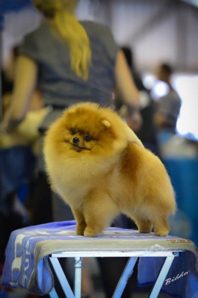 Colby during his time in Brazil