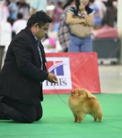 Colby in the ring in Thailand 2015