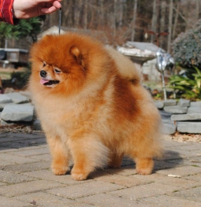 Colby at 5 yrs old during his visit in Virginia
