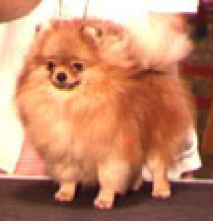 Millamor's Rock Music