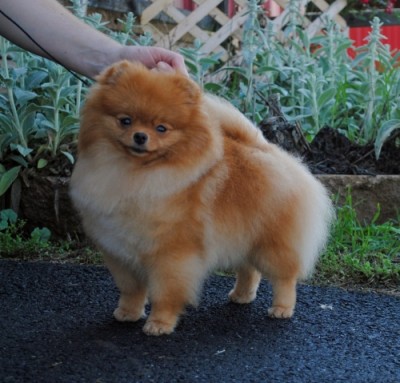 Courtney at 1 year old