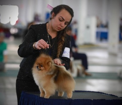 Daario at 2 1/2 yrs old