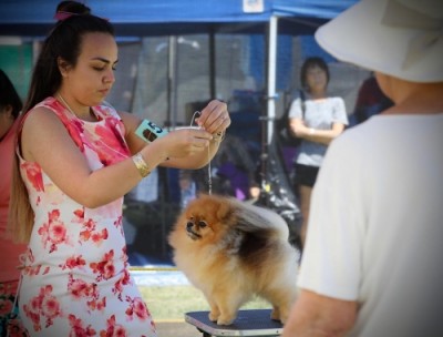 Daario at 2 1/2 yrs old