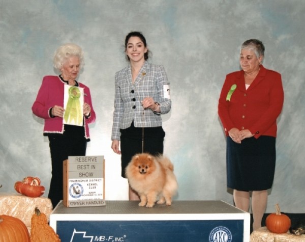 BISS GCh. Silhouette's Scaramouch Bohemian Rhapsody (group placing)